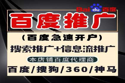 百度竞价广告代运营策略：某品牌实现精准营销的秘诀